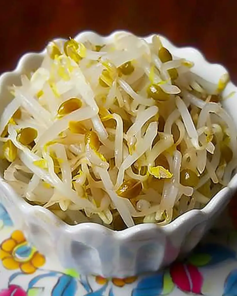 Sukjunamul-Muchim (Korean Mung Bean Sprout Side Dish)
